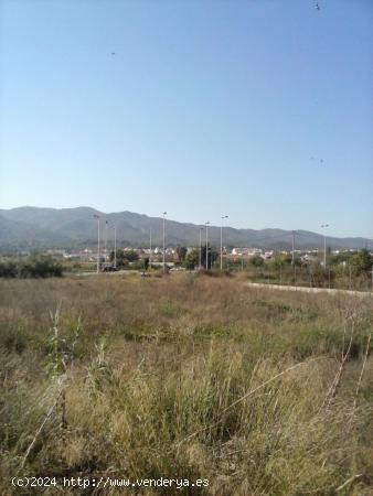 Parcela no urbana en la costera sur de la Alberca. - MURCIA