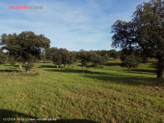 VENTA DE FINCA EN ALCARACEJOS - CORDOBA