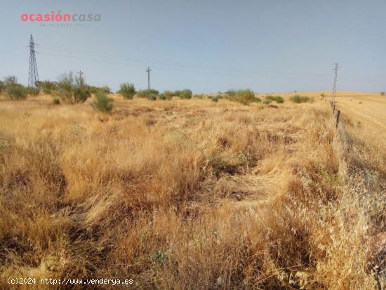 SE VENDE PARCELA CERCANA A POZOBLANCO - CORDOBA