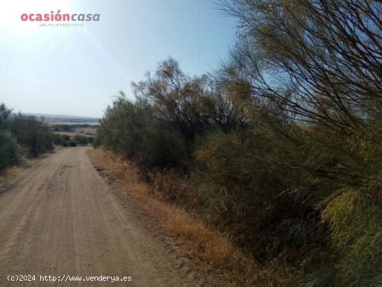 SE VENDE PARCELA CERCANA A POZOBLANCO - CORDOBA