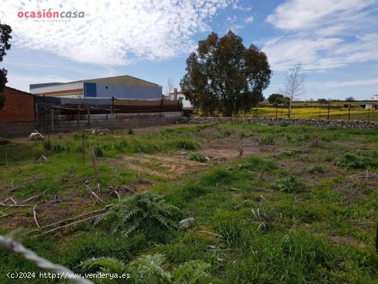 PARCELA RUSTICA EN POZOBLANCO - CORDOBA