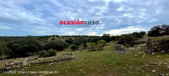 ENCINAR EN VENTA EN LOS PEDROCHES - CORDOBA