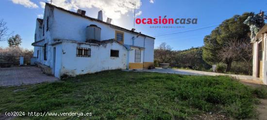 OLIVAR CON CORTIJO EN VENTA - CORDOBA