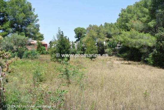 Parcela en plena urbanización del Tosalet de Javea - ALICANTE