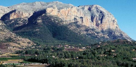  Se venden dos parcelas adosadas en Jesús pobre - ALICANTE 