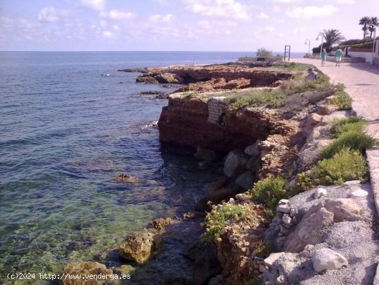 Parcela en la exclusiva zona de las rotas - ALICANTE