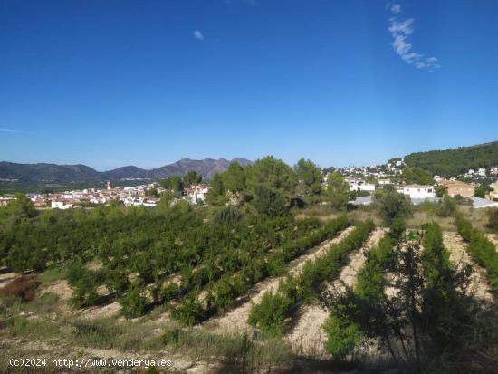 Parcela agrícola en venta en Orba - ALICANTE