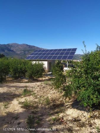 Parcela agrícola en venta en Orba - ALICANTE