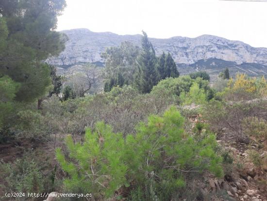  Parcela con vistas en galeretes - ALICANTE 