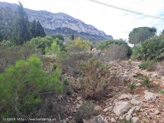 Parcela con vistas en galeretes - ALICANTE