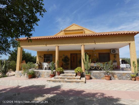 CHALET CERCA DE SAN VICENTE DE 186 m2 / SOTANO 150 m2 / PISCINA / PARCELA 3000 m2 - ALICANTE