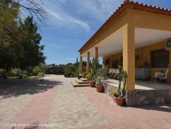 CHALET CERCA DE SAN VICENTE DE 186 m2 / SOTANO 150 m2 / PISCINA / PARCELA 3000 m2 - ALICANTE