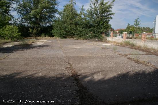 PARCELA UBICADA EN VIANA DE CEGA.(VALLADOLID) - VALLADOLID