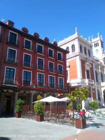 Magnífica oficina en Plaza Mayor de Valladolid. - VALLADOLID