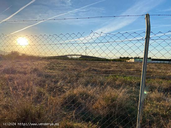 TERRENO EN ALDAIA - VALENCIA