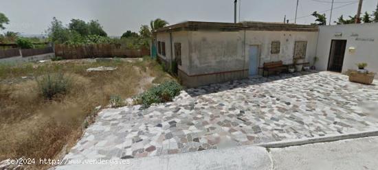  Casa con parcela de 4900m  en el campo de Guardamar - ALICANTE 