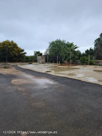 Casa con parcela de 4900m  en el campo de Guardamar - ALICANTE