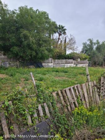 Casa con parcela de 4900m  en el campo de Guardamar - ALICANTE