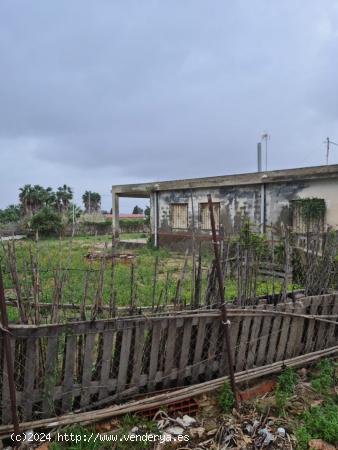 Casa con parcela de 4900m  en el campo de Guardamar - ALICANTE