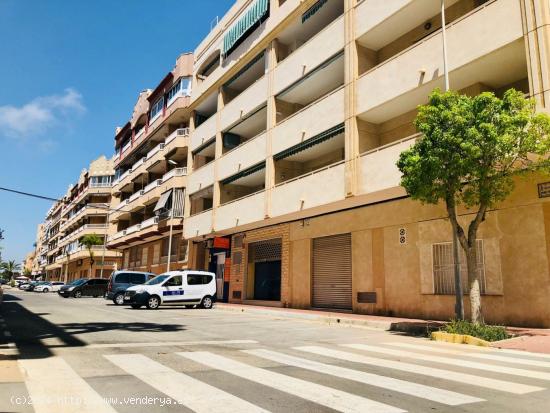  Se vende oficina con gran capacidad en Guardamar - ALICANTE 