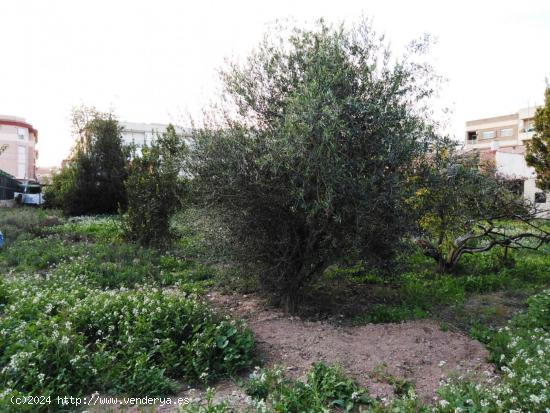  SE VENDE TERRENO RUSTICO EN PUENTE TOCINOS - MURCIA 