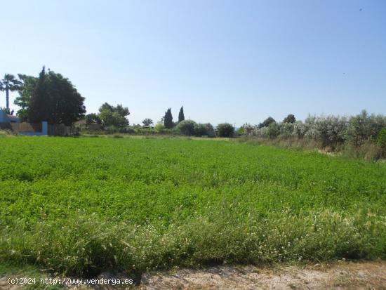  Parcela en Molina de Segura - MURCIA 