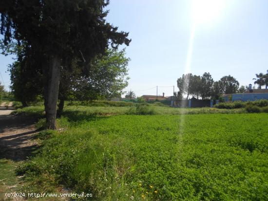 Parcela en Molina de Segura - MURCIA