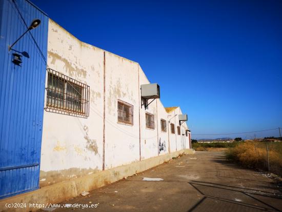 Espectacular Nave Comercial-industrial. Para cualquier Actividad - MURCIA