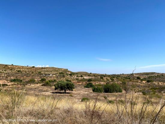 TERRENO RURAL en Galifa - CARTAGENA - MURCIA