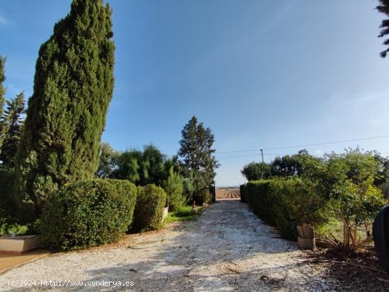 MAGNIFICA FINCA DE CAMPO CON DOS VIVIENDAS - MURCIA