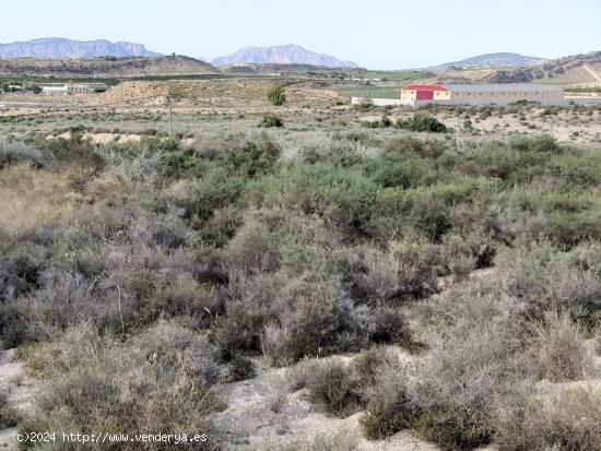 Finca Rústica en Lo Reolí - MURCIA