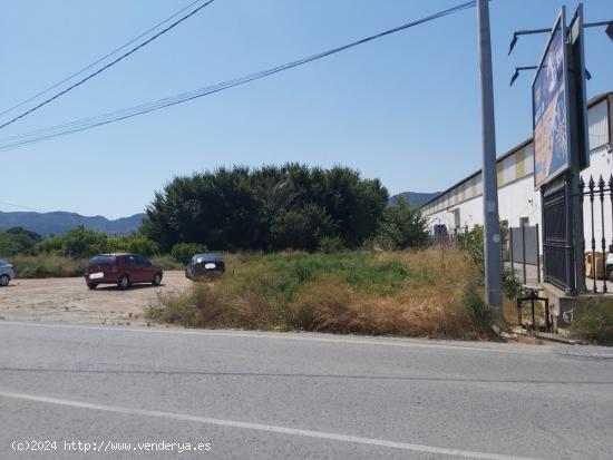 Suelo Urbano, Avda Región Murciana de Los Dolores - MURCIA