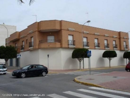  LOCAL COMERCIAL EJIDO - ALMERIA 