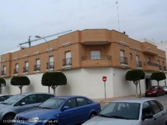 LOCAL COMERCIAL EJIDO - ALMERIA