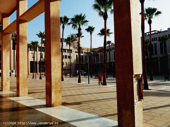 Oficina en plaza mayor (Gran capacidad 334 m2) - ALMERIA