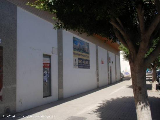 Se Vende en El Ejido - ALMERIA