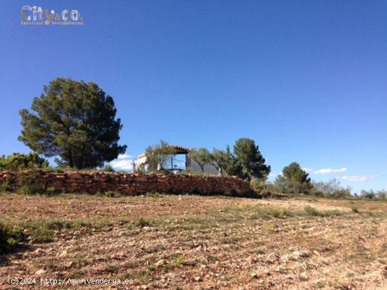 FINCA VENTA en NERPIO - ALBACETE