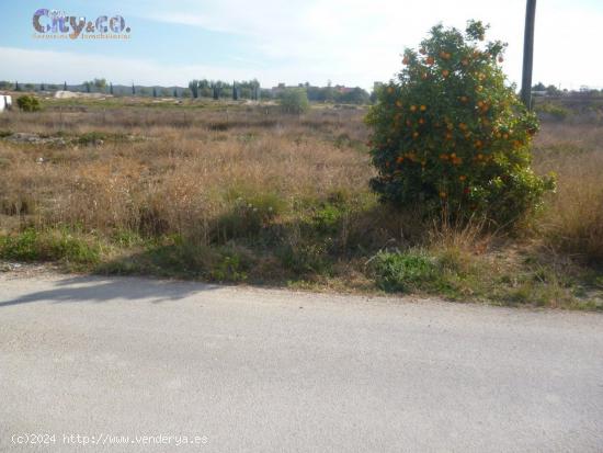 Terreno Urbano en El Llano de Molina - MURCIA