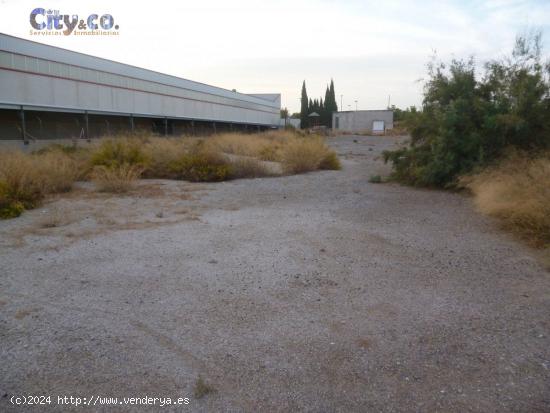 Solar en Molina de Segura, Pol.Ind. El Tapiado - MURCIA