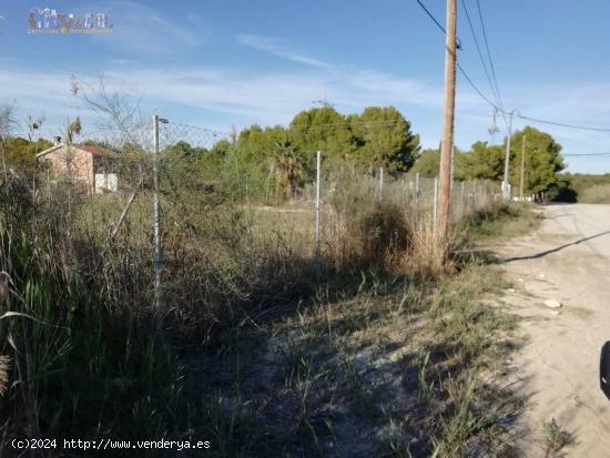 Terreno  en Molina de Segura, Zona  El Pino - MURCIA