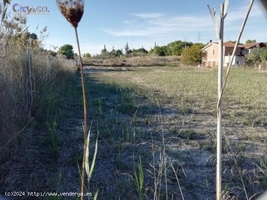 Terreno  en Molina de Segura, Zona  El Pino - MURCIA