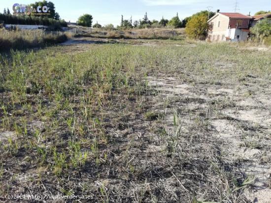 Terreno  en Molina de Segura, Zona  El Pino - MURCIA