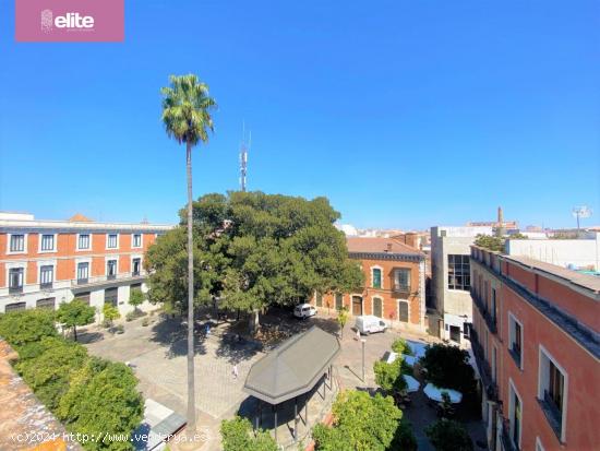 MAGNIFICASA CASA EN EL CENTRO JEREZ - CADIZ