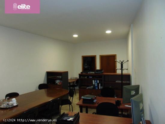  LOCAL DESTINADO A OFICINAS EN ZONA AVENIDA - JEREZ DE LA FRONTERA - CADIZ 