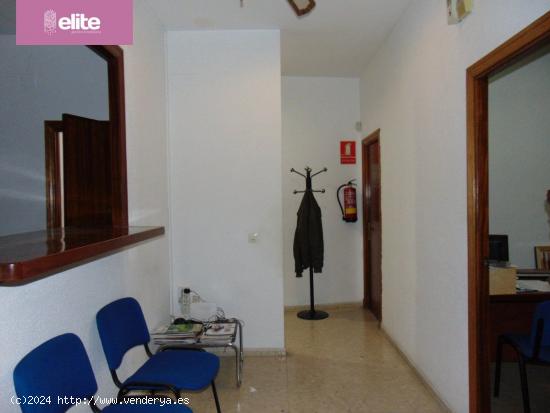 LOCAL DESTINADO A OFICINAS EN ZONA AVENIDA - JEREZ DE LA FRONTERA - CADIZ