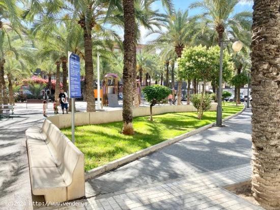 LOCAL COMERCIAL EN ZONA SECTOR V - ALICANTE