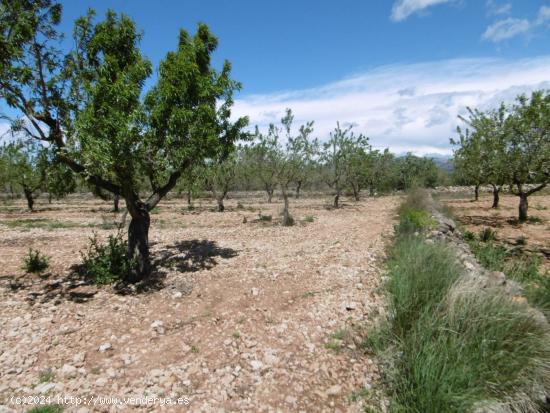 TERRENO EN VENTA CON BUEN ACCESO, LUZ Y AGUA CERCA - CASTELLON