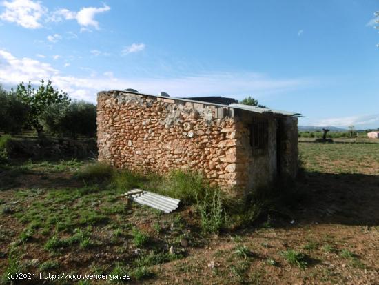 FINCA RUSTICA CON CASETA - CASTELLON