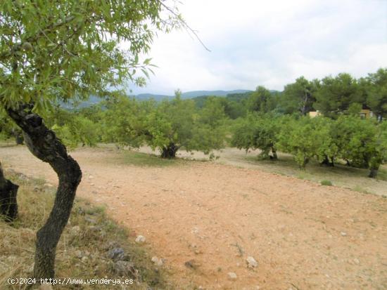 Terreno con vistas ideal para construir - CASTELLON