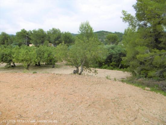 Terreno con vistas ideal para construir - CASTELLON